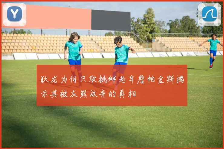狄龙为何只敢挑衅老年詹帕金斯揭示其被灰熊放弃的真相
