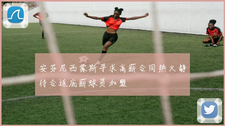 安芬尼西蒙斯寻求高薪合同热火静待合适底薪球员加盟