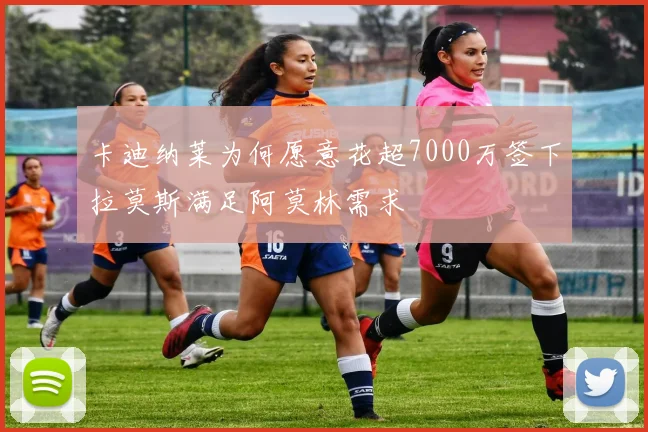 卡迪纳莱为何愿意花超7000万签下拉莫斯满足阿莫林需求